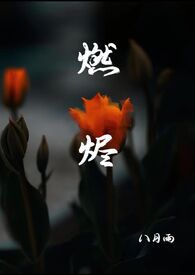 燃烬小说姜海吟